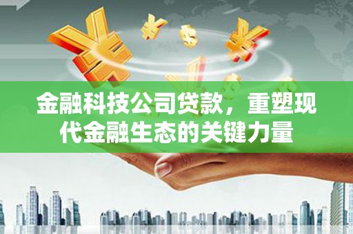 隆回金融科技公司贷款，重塑现代金融生态的关键力量