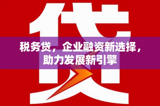 隆回税务贷，企业融资新选择，助力发展新引擎