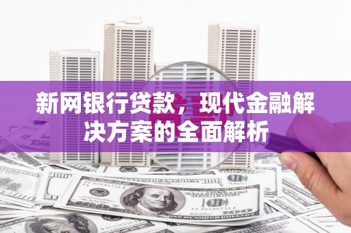 隆回新网银行贷款，现代金融解决方案的全面解析
