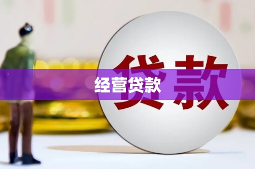 隆回经营贷款