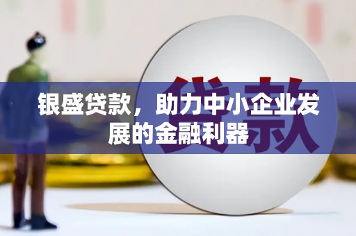 隆回银盛贷款，助力中小企业发展的金融利器