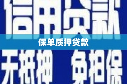 隆回保单质押贷款