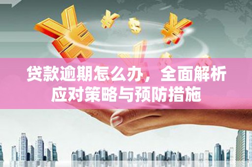 隆回贷款逾期怎么办，全面解析应对策略与预防措施