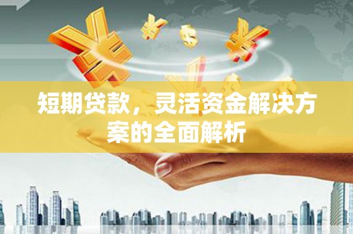 隆回短期贷款，灵活资金解决方案的全面解析