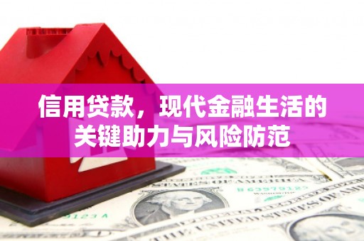 隆回信用贷款，现代金融生活的关键助力与风险防范