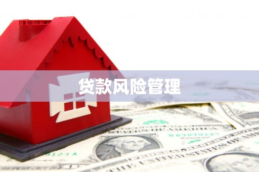 隆回贷款风险管理