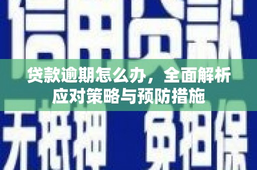 隆回贷款逾期怎么办，全面解析应对策略与预防措施
