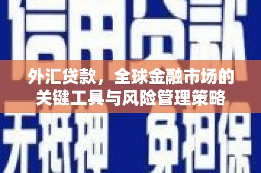 隆回外汇贷款，全球金融市场的关键工具与风险管理策略
