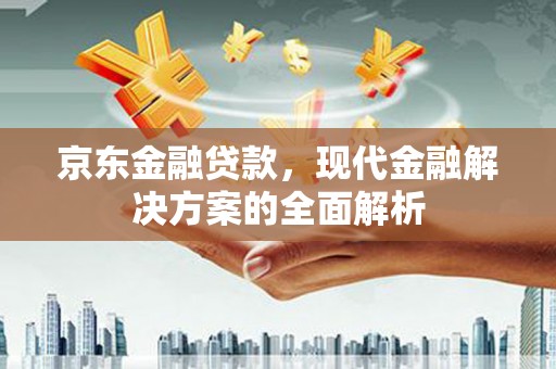 隆回京东金融贷款，现代金融解决方案的全面解析