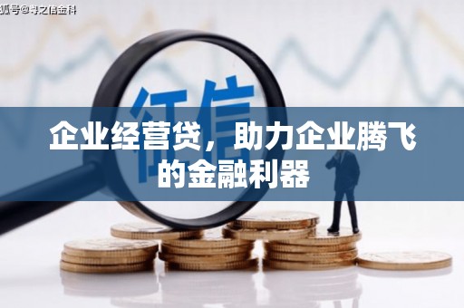 隆回企业经营贷，助力企业腾飞的金融利器