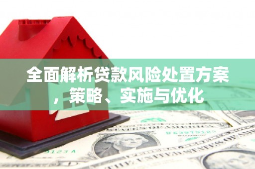 隆回全面解析贷款风险处置方案，策略、实施与优化