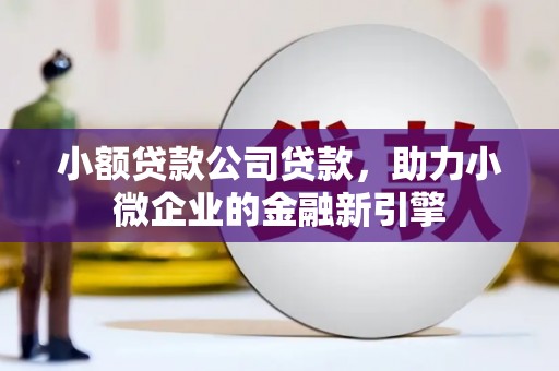 隆回小额贷款公司贷款，助力小微企业的金融新引擎
