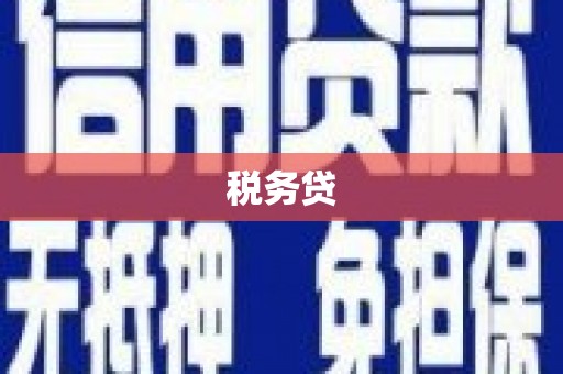 隆回税务贷