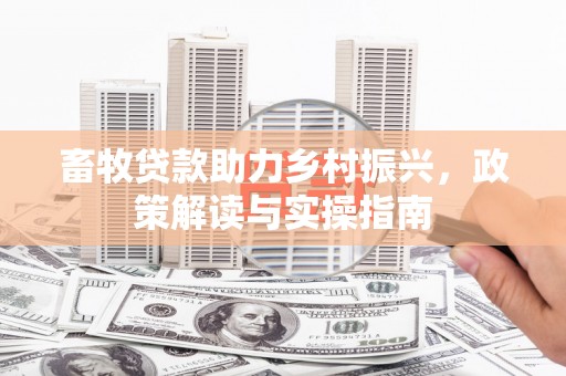 隆回畜牧贷款助力乡村振兴，政策解读与实操指南
