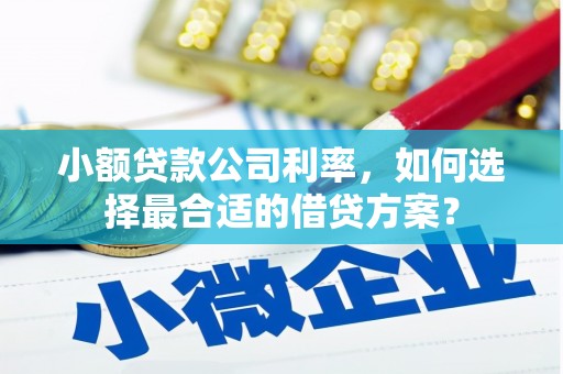 隆回小额贷款公司利率，如何选择最合适的借贷方案？