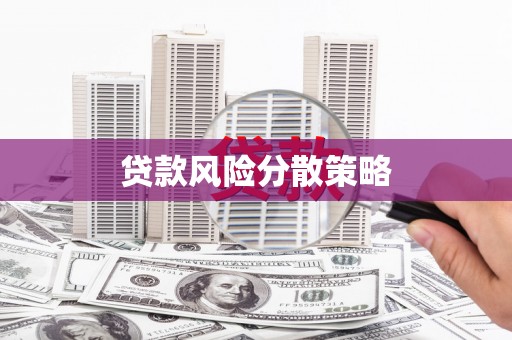 隆回贷款风险分散策略