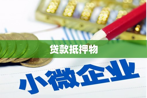 隆回贷款抵押物