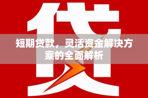隆回短期贷款，灵活资金解决方案的全面解析