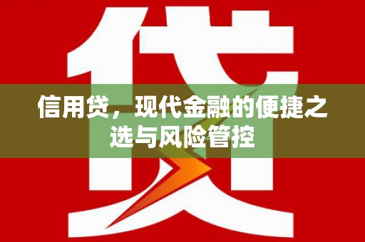 隆回信用贷，现代金融的便捷之选与风险管控