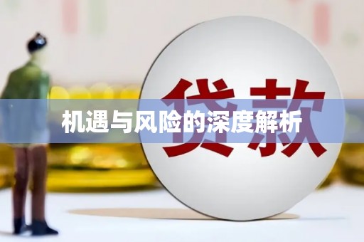 隆回机遇与风险的深度解析