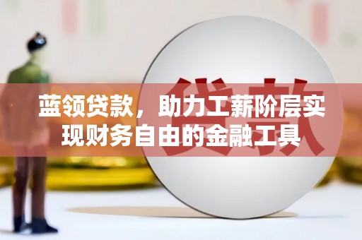 隆回蓝领贷款，助力工薪阶层实现财务自由的金融工具