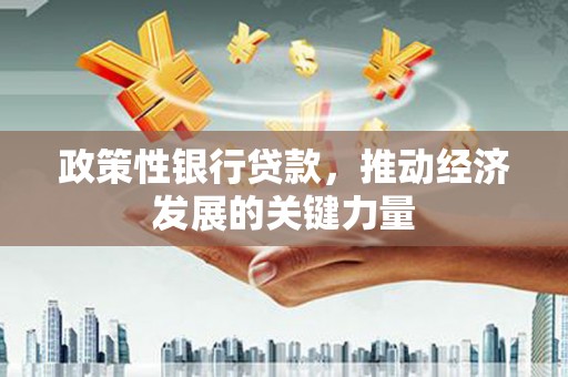 隆回政策性银行贷款，推动经济发展的关键力量