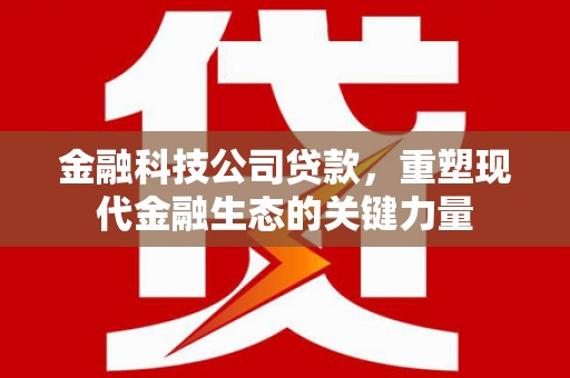 隆回金融科技公司贷款，重塑现代金融生态的关键力量