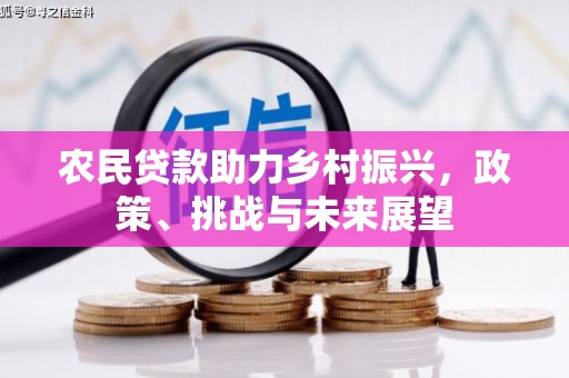 隆回农民贷款助力乡村振兴，政策、挑战与未来展望