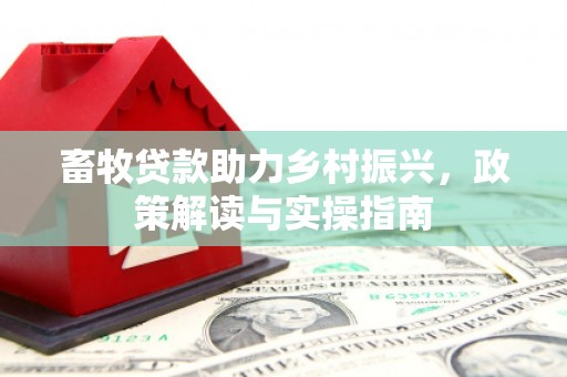 隆回畜牧贷款助力乡村振兴，政策解读与实操指南