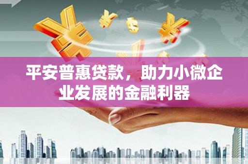隆回平安普惠贷款，助力小微企业发展的金融利器