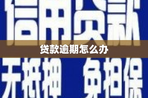 隆回贷款逾期怎么办