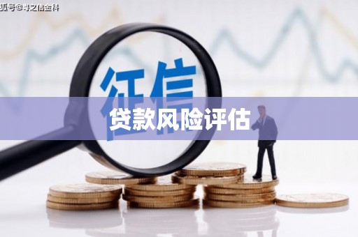 隆回贷款风险评估