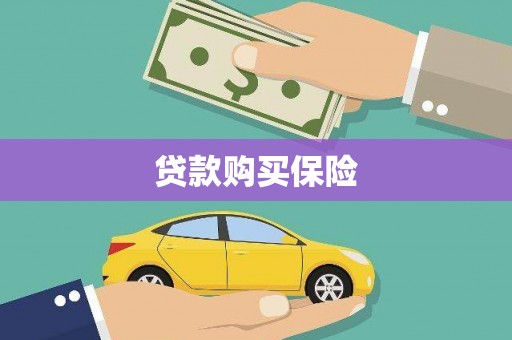 隆回贷款购买保险