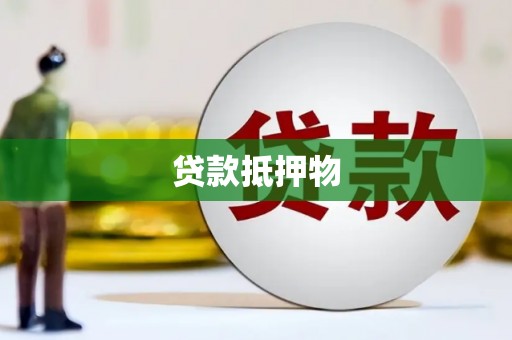 隆回贷款抵押物