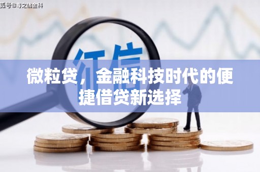 隆回微粒贷，金融科技时代的便捷借贷新选择