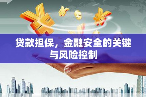 隆回贷款担保，金融安全的关键与风险控制