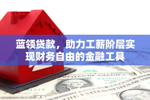 隆回蓝领贷款，助力工薪阶层实现财务自由的金融工具