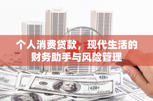 隆回个人消费贷款，现代生活的财务助手与风险管理