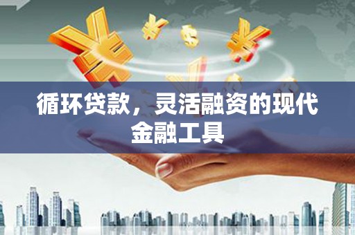 隆回循环贷款，灵活融资的现代金融工具