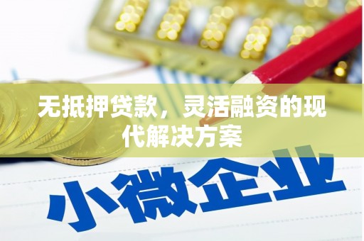 隆回无抵押贷款，灵活融资的现代解决方案
