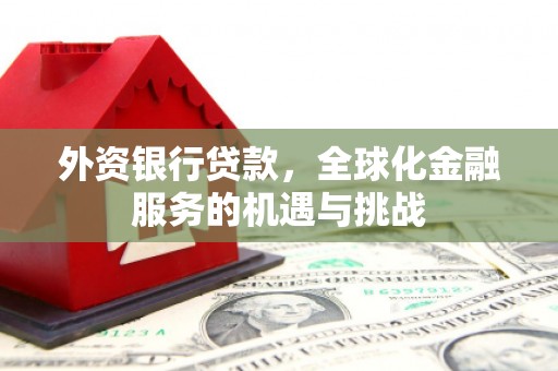 隆回外资银行贷款，全球化金融服务的机遇与挑战