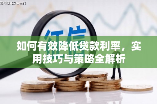 隆回如何有效降低贷款利率，实用技巧与策略全解析