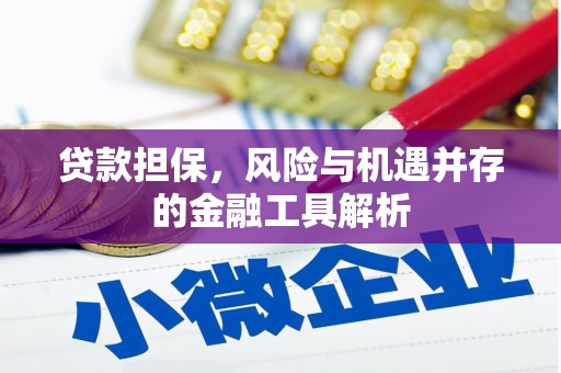 隆回贷款担保，风险与机遇并存的金融工具解析