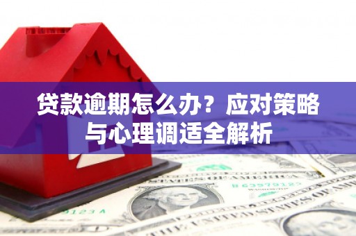 隆回贷款逾期怎么办？应对策略与心理调适全解析