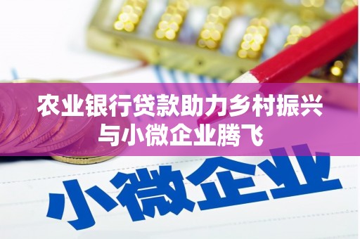 隆回农业银行贷款助力乡村振兴与小微企业腾飞