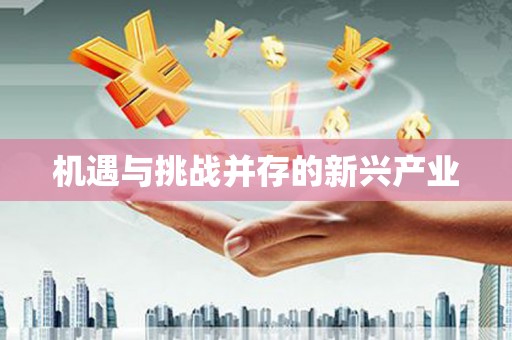 隆回机遇与挑战并存的新兴产业