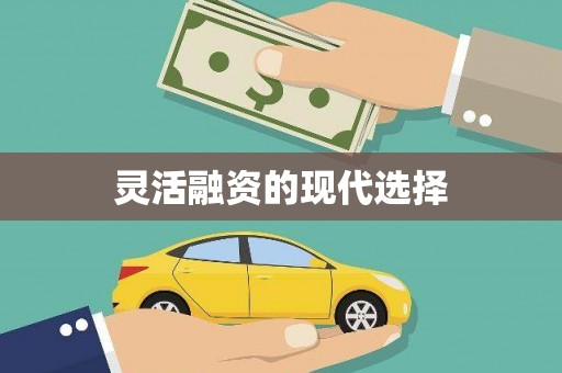 隆回灵活融资的现代选择