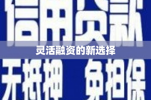 隆回灵活融资的新选择