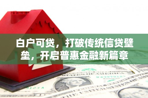 隆回白户可贷，打破传统信贷壁垒，开启普惠金融新篇章