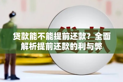 隆回贷款能不能提前还款？全面解析提前还款的利与弊